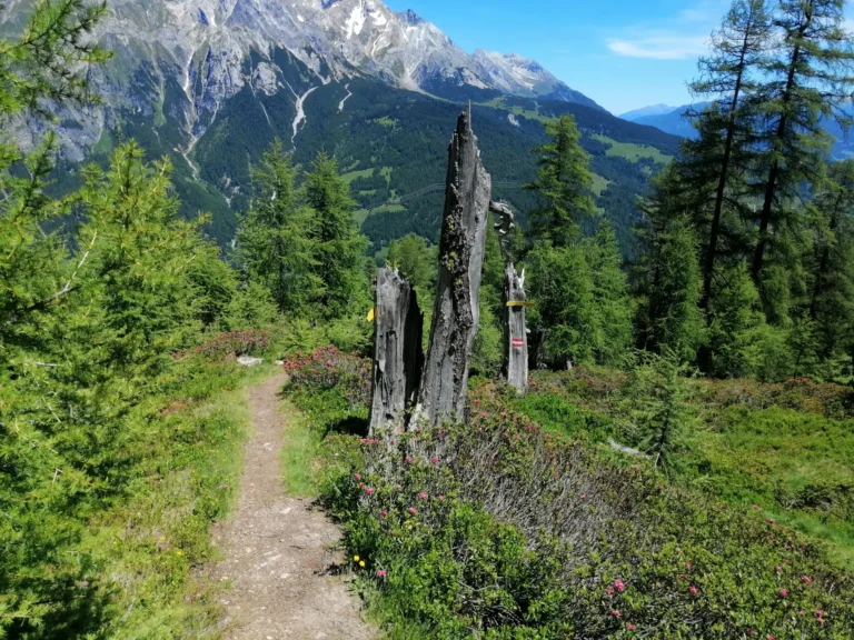 Ontdek 5 prachtige wandelroutes vanuit Flirsch (Tirol) voor beginners tot gevorderden. Inclusief routebeschrijving
