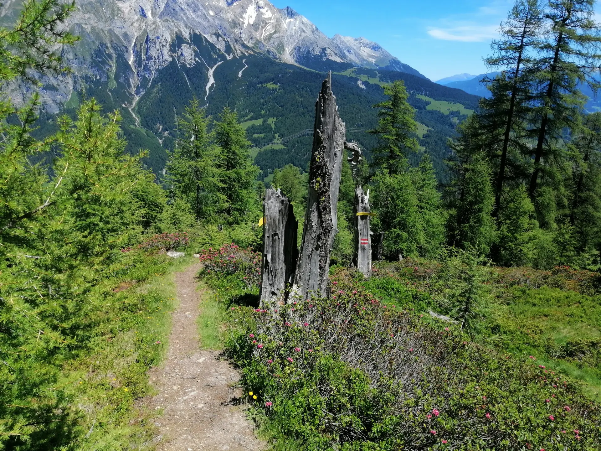 Ontdek 5 prachtige wandelroutes vanuit Flirsch (Tirol) voor beginners tot gevorderden. Inclusief routebeschrijving